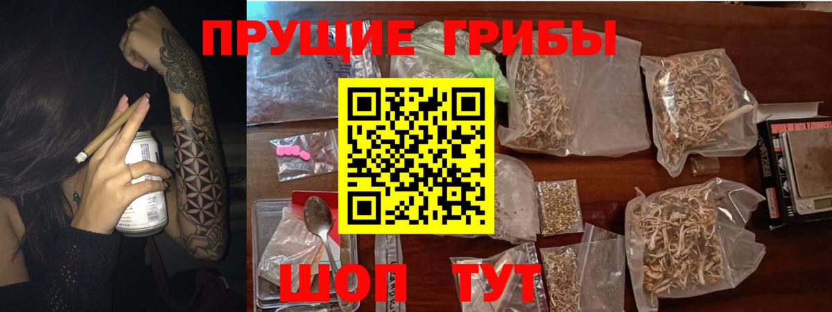 Галлюциногенные грибы мицелий  Вход с VPN  Мыски 